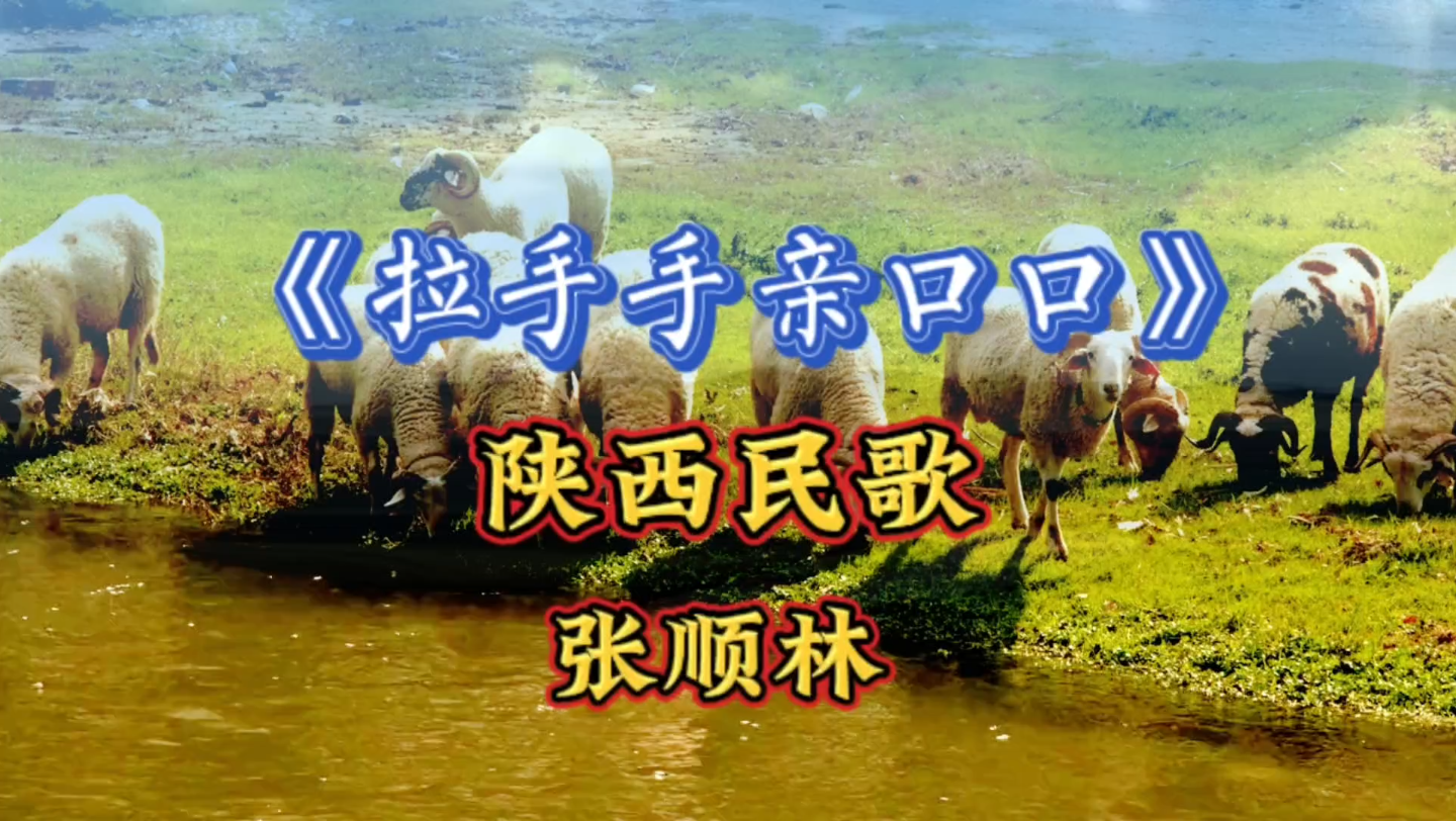 张顺林演唱陕北风情民歌《拉手手亲口口》哥哥你有情妹妹我有意咱二人
