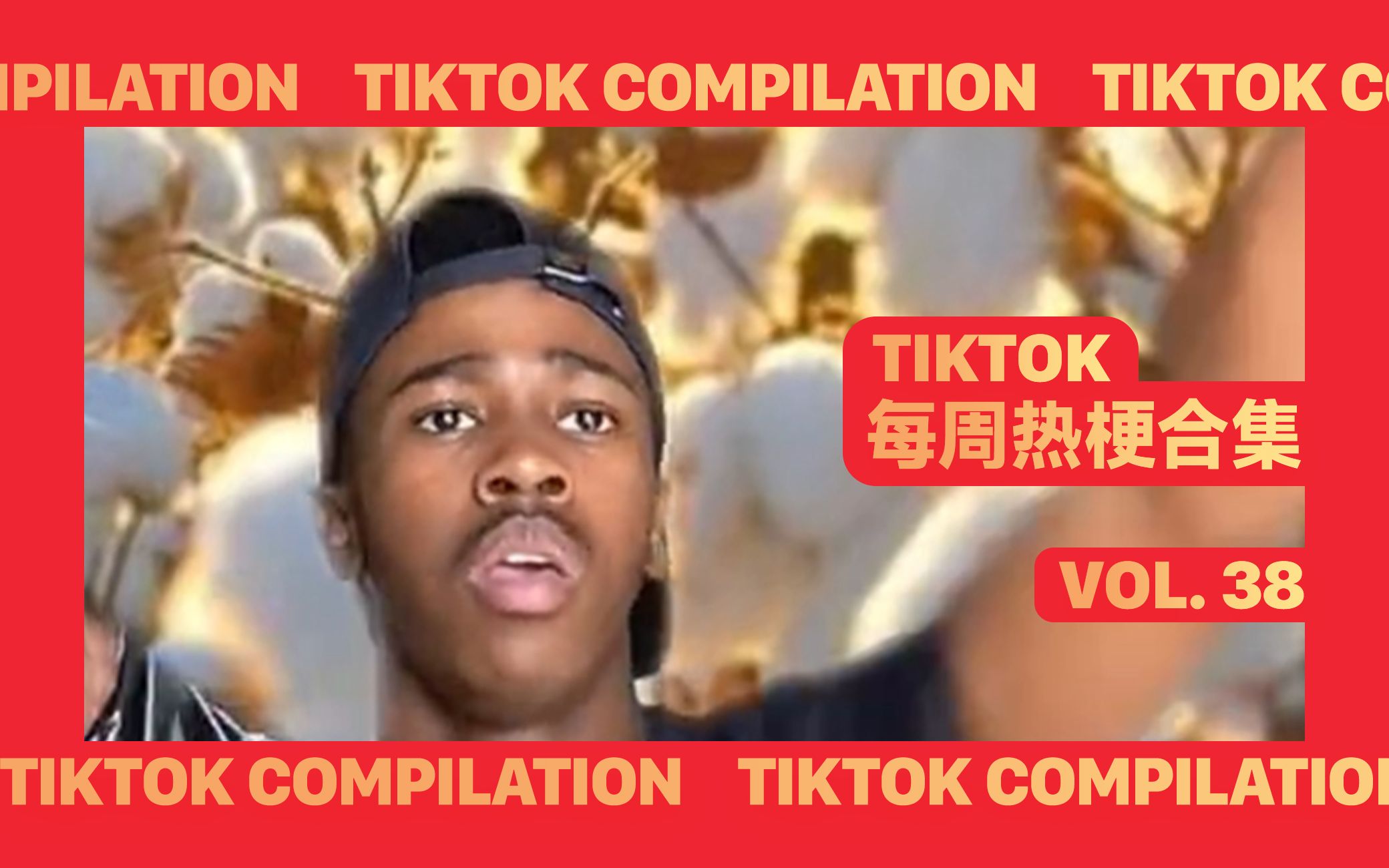 [图][TikTok] 每周热梗合集 vol. 38