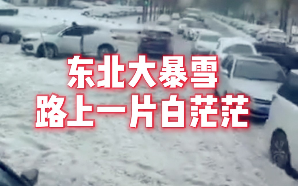 东北大暴雪 辽宁省海陆空交通停航停运哔哩哔哩bilibili