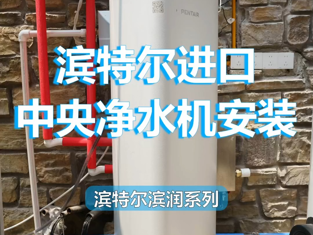 滨特尔整机进口滨润中央净水,别墅大户型全屋净水安装