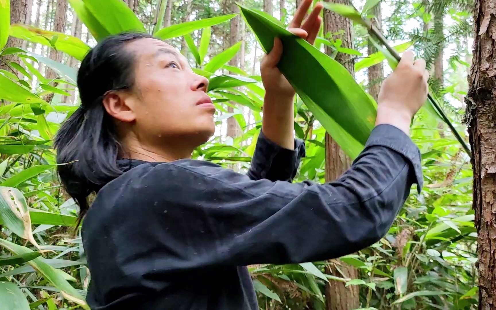 尝试改变生活会带来多趣,像粽子叶糯米杂豆灵活搭配,比吃粽子多一份趣味哔哩哔哩bilibili