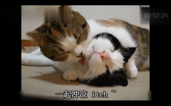 82《火口的两人》#大尺度电影#爱情#道德缺陷