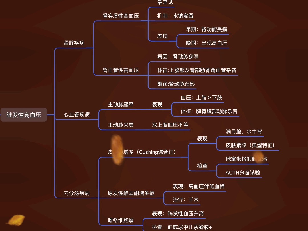 循环系统⇨继发性高血压(知识卡片)哔哩哔哩bilibili