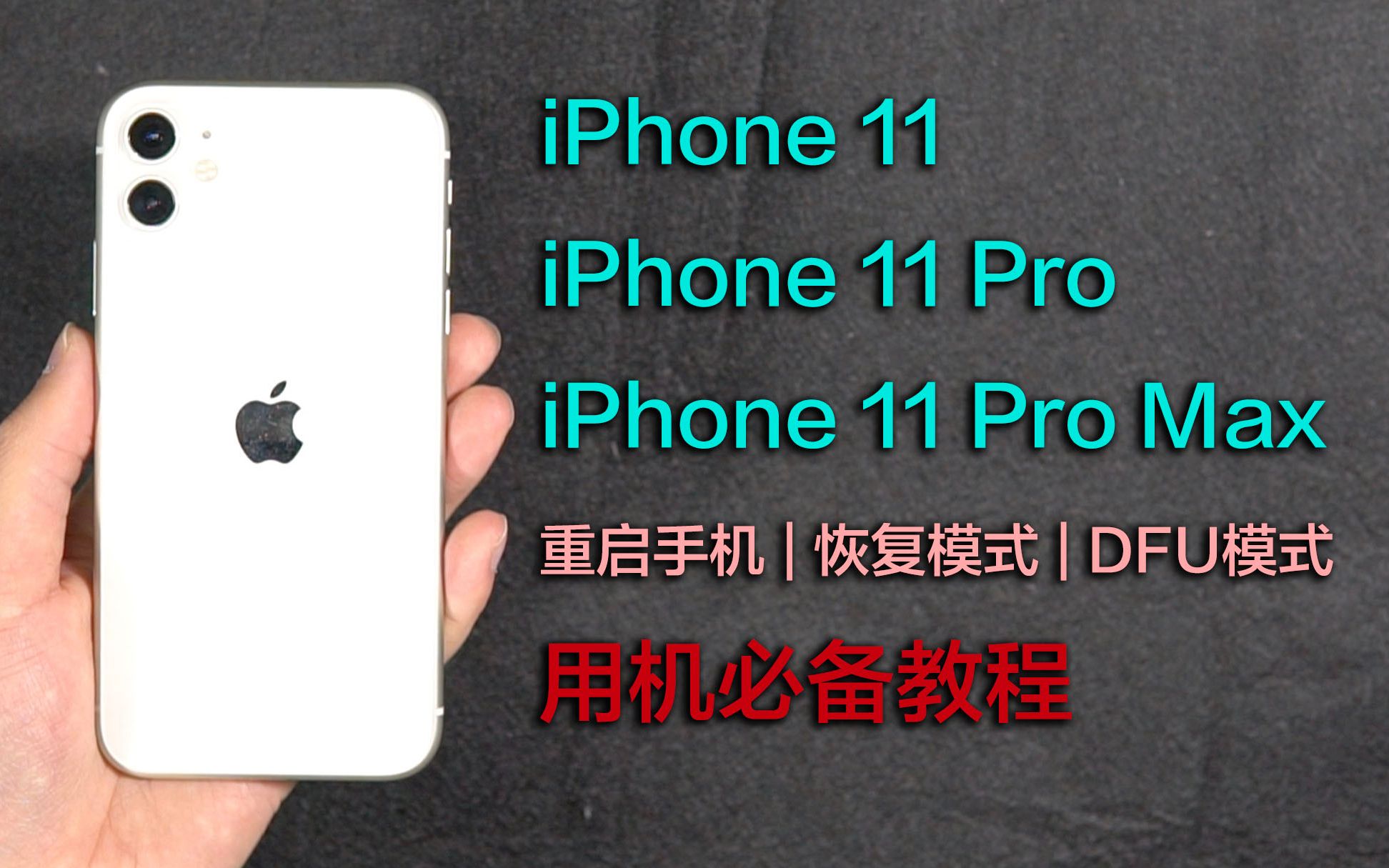 iPhone 11 & 11 Pro用机必备教程:重启手机、恢复模式、DFU模式