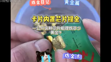芯片卡-哔哩哔哩_Bilibili 芯片卡-哔哩哔哩_Bilibili