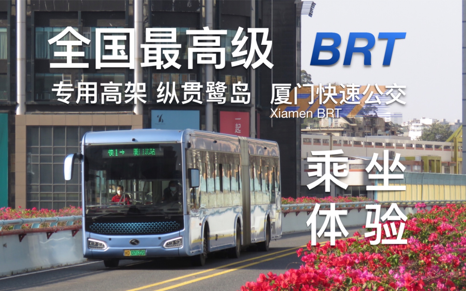 厦门brt改造轻轨图片