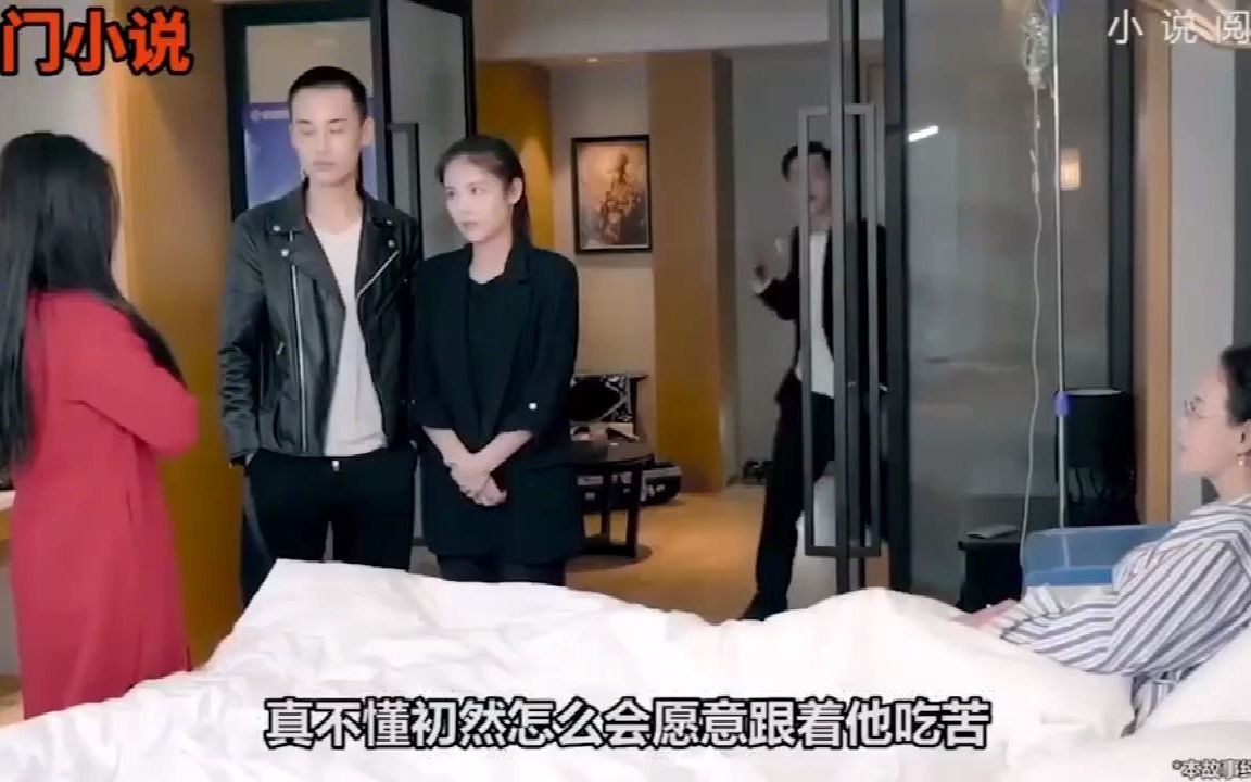 [图]小说《上门龙婿》