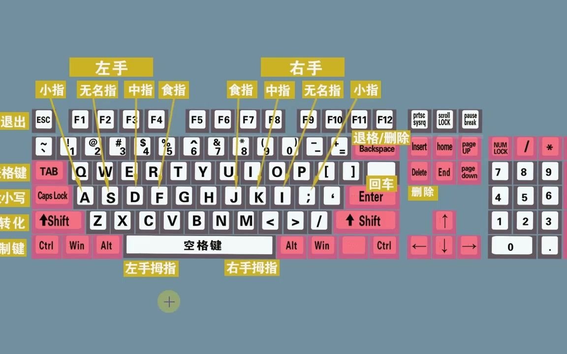 零基础快速学拼音学五笔打字教程,键盘打字快速入门