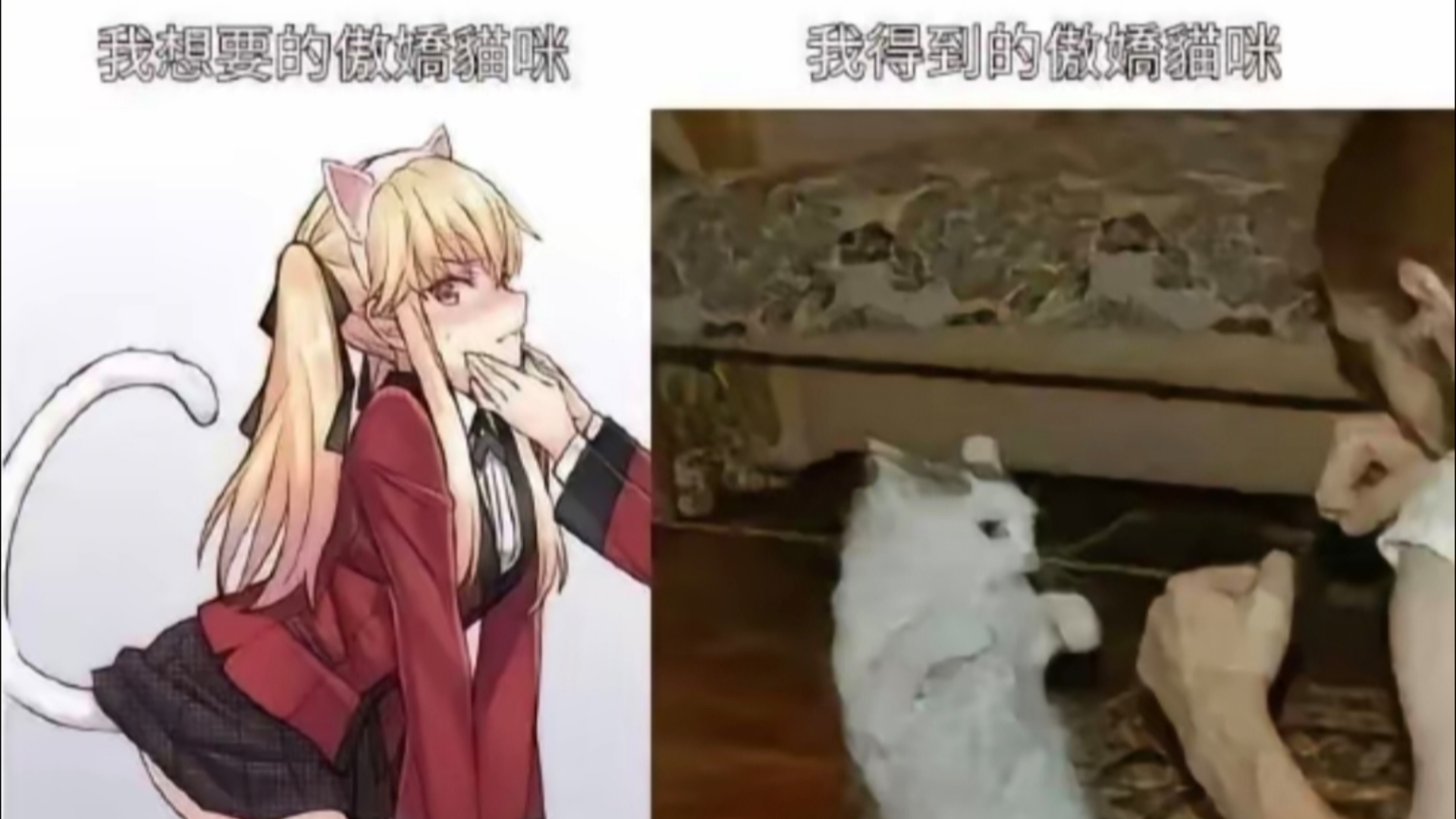 【沙雕梗图】人间真实系列(34)