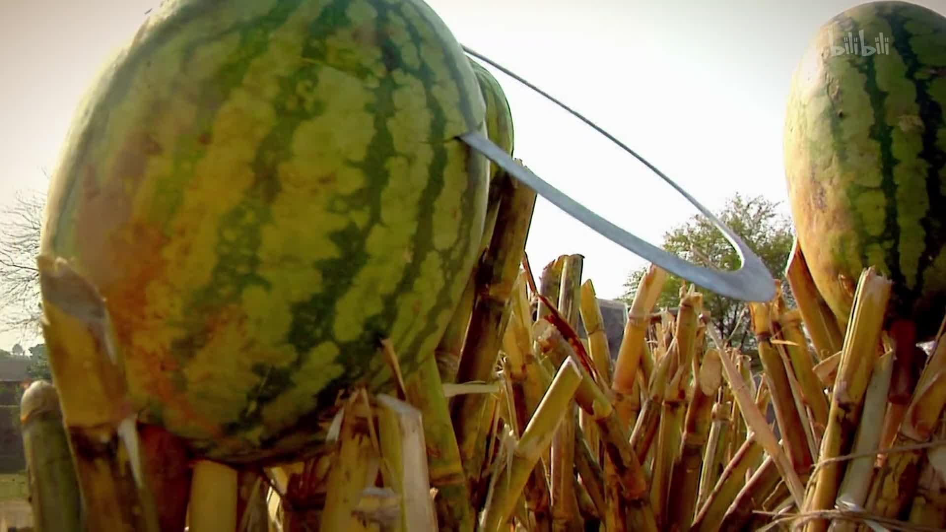 武器大师第8集-纪录片-全集-高清正版在线观看-bilibili-哔哩哔哩