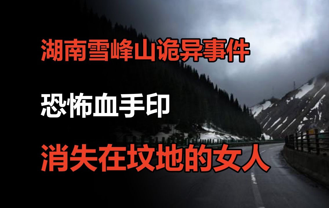 【高能慎入】2008年大车司机诡异经历,消失在坟地的女人,多出来的血手印!哔哩哔哩bilibili