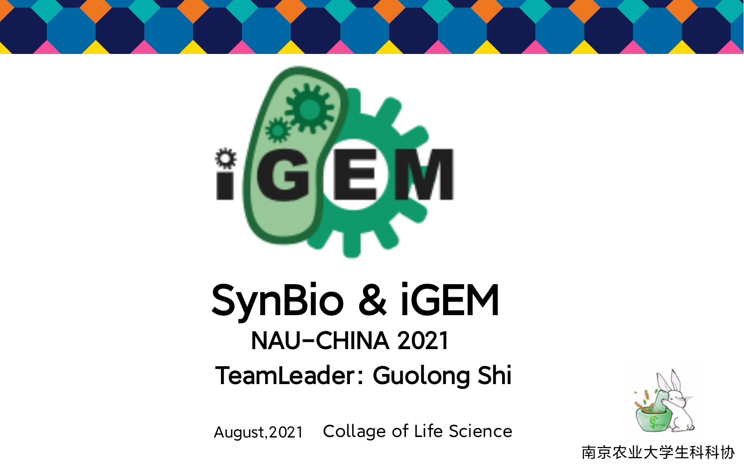 合成生物学小课堂第一弹:NAUChina带你走进 iGEM 和 iDEC,解锁两项赛事的基本信息、相关背景知识以及辅助网站和软件~哔哩哔哩bilibili