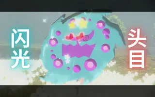 闪光花岩怪 哔哩哔哩 Bilibili