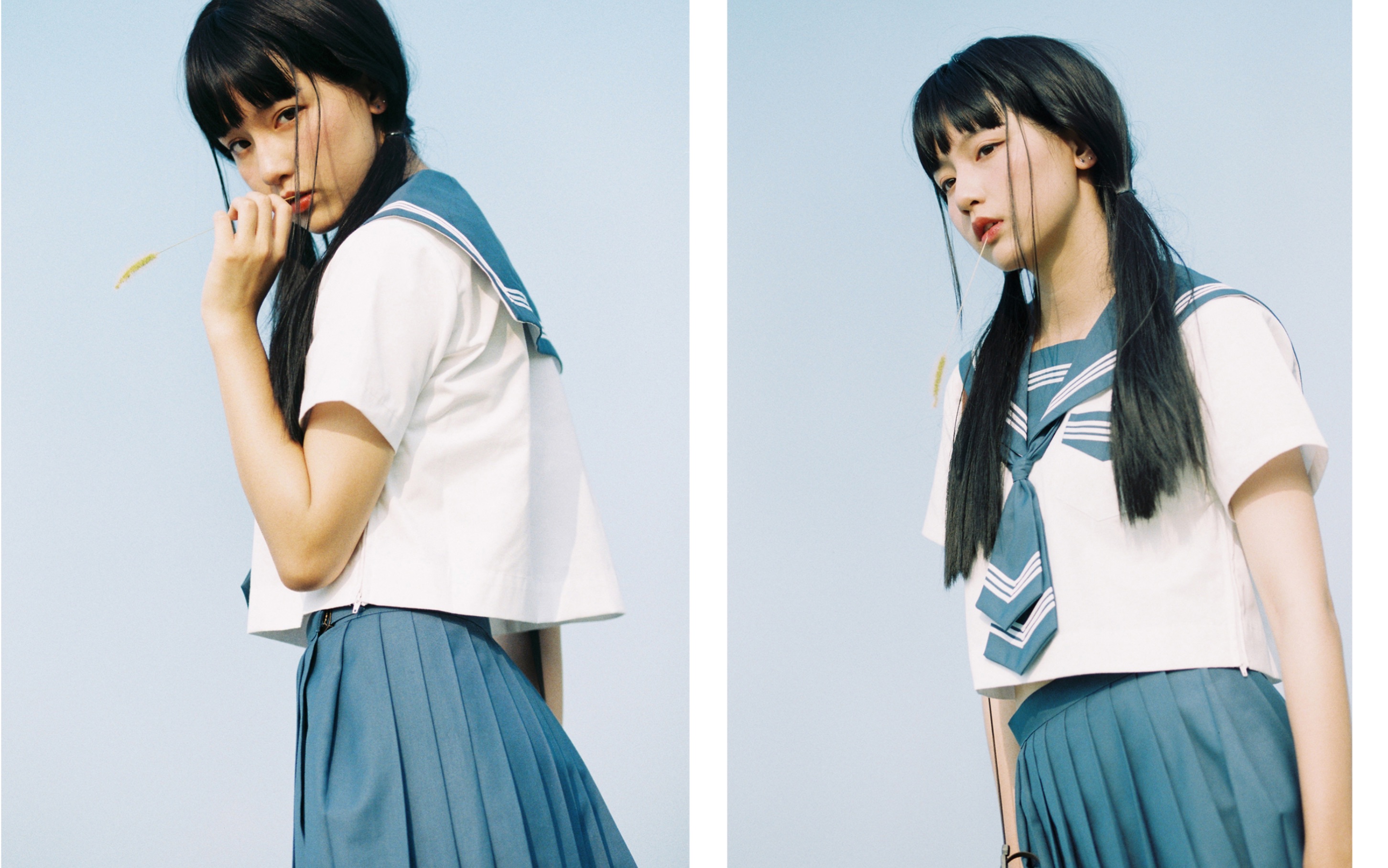 【成果/犬来八荒】时间过得很快,一转眼快十个月了