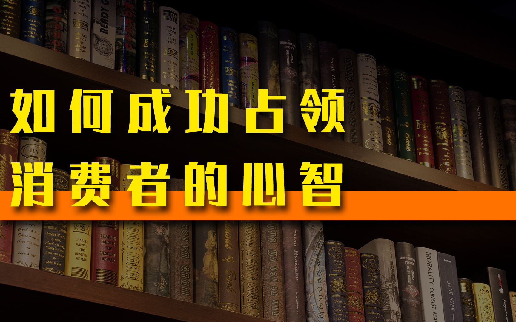 如何成功占领消费者心智《定位》_哔哩哔哩_bilibili