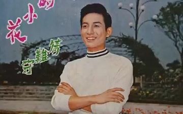 [图]青山 Qing Shan - 淚的小花 情難守 青山之歌 第4集 Full Album（1969）