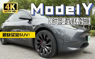 Скачать видео: 【沉浸式体验】Model Y Performance 最快的买菜SUV！