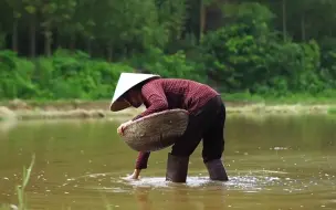 下载视频: 捡点螺蛳回去做一份螺蛳面，味道也很不错，别有一番味道！