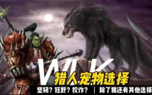 Download Video: wlk猎人宠物选择