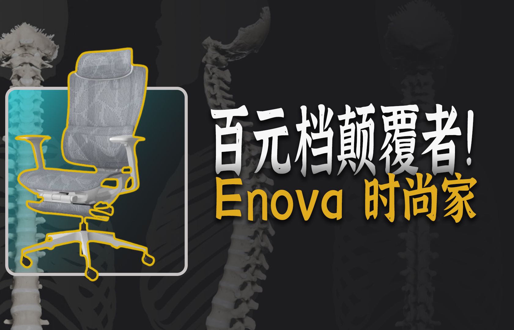 人体工学椅百元内卷天花板——Enova时尚家哔哩哔哩bilibili