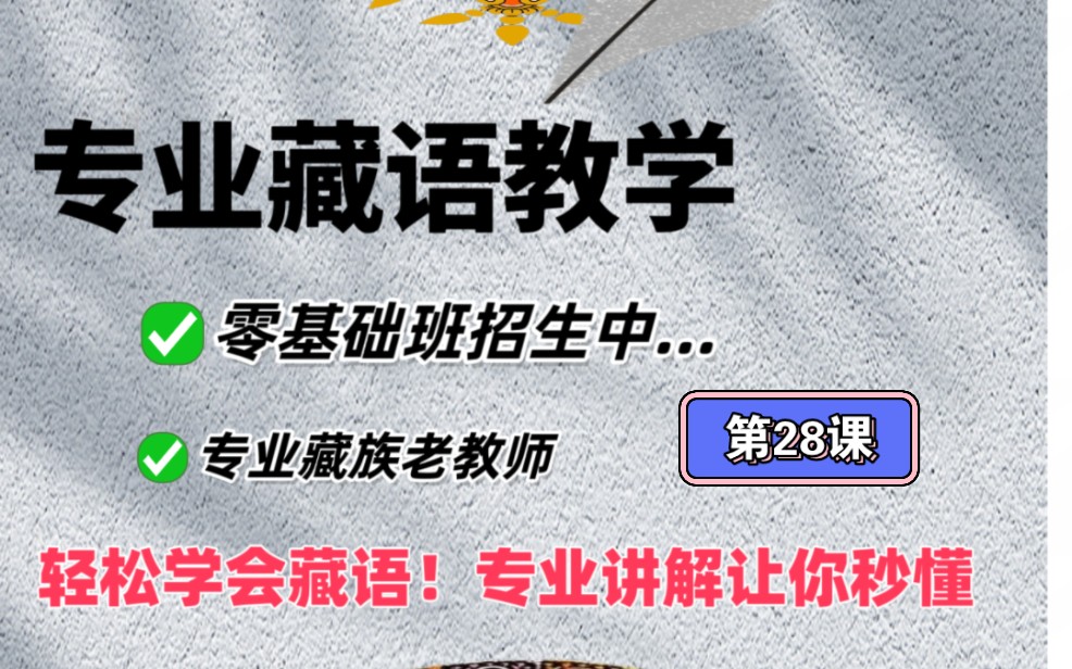 28课 专业系统藏语教学 上加字的同音,轻松学会藏语!专业讲解让你秒懂哔哩哔哩bilibili