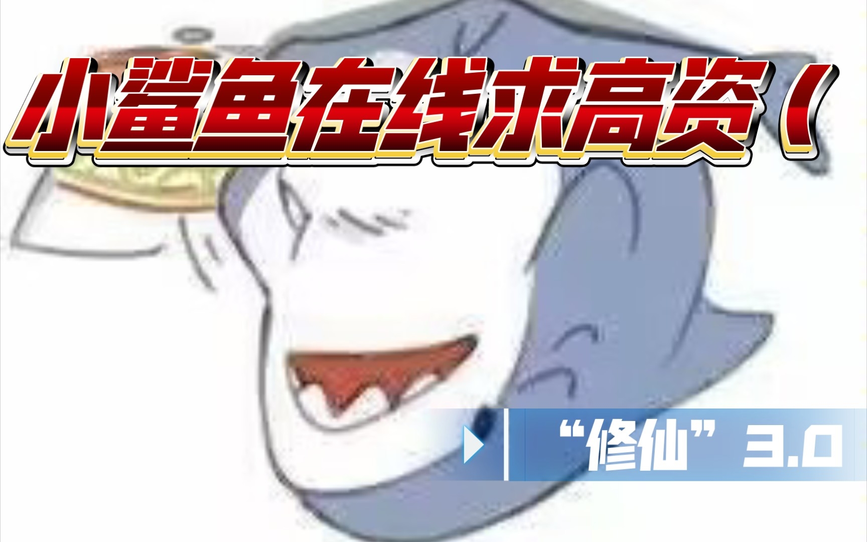 打坐の小鲨鱼停止了思考.gif