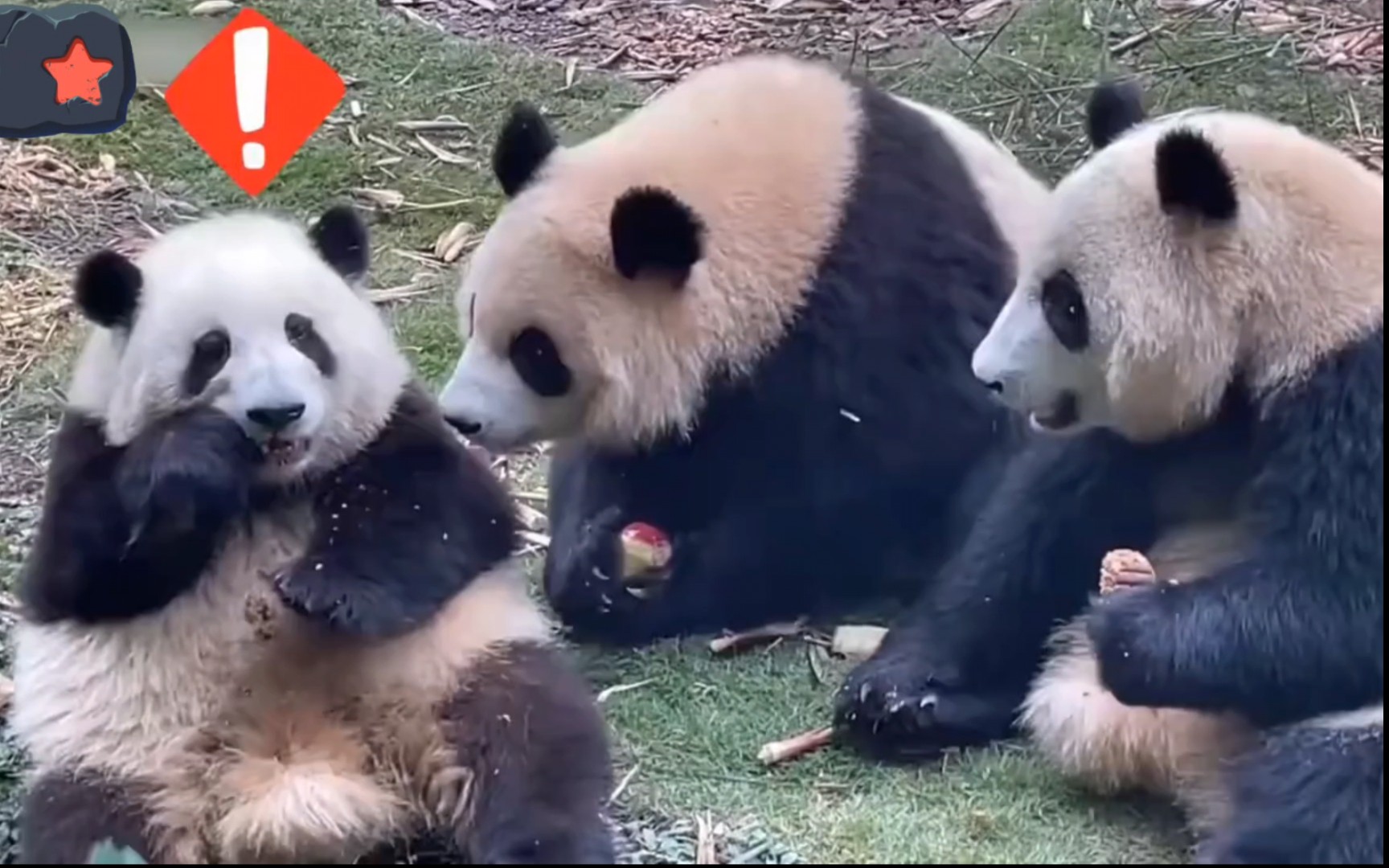 花花为何暴打二狗两巴掌?二狗真是欺花太甚