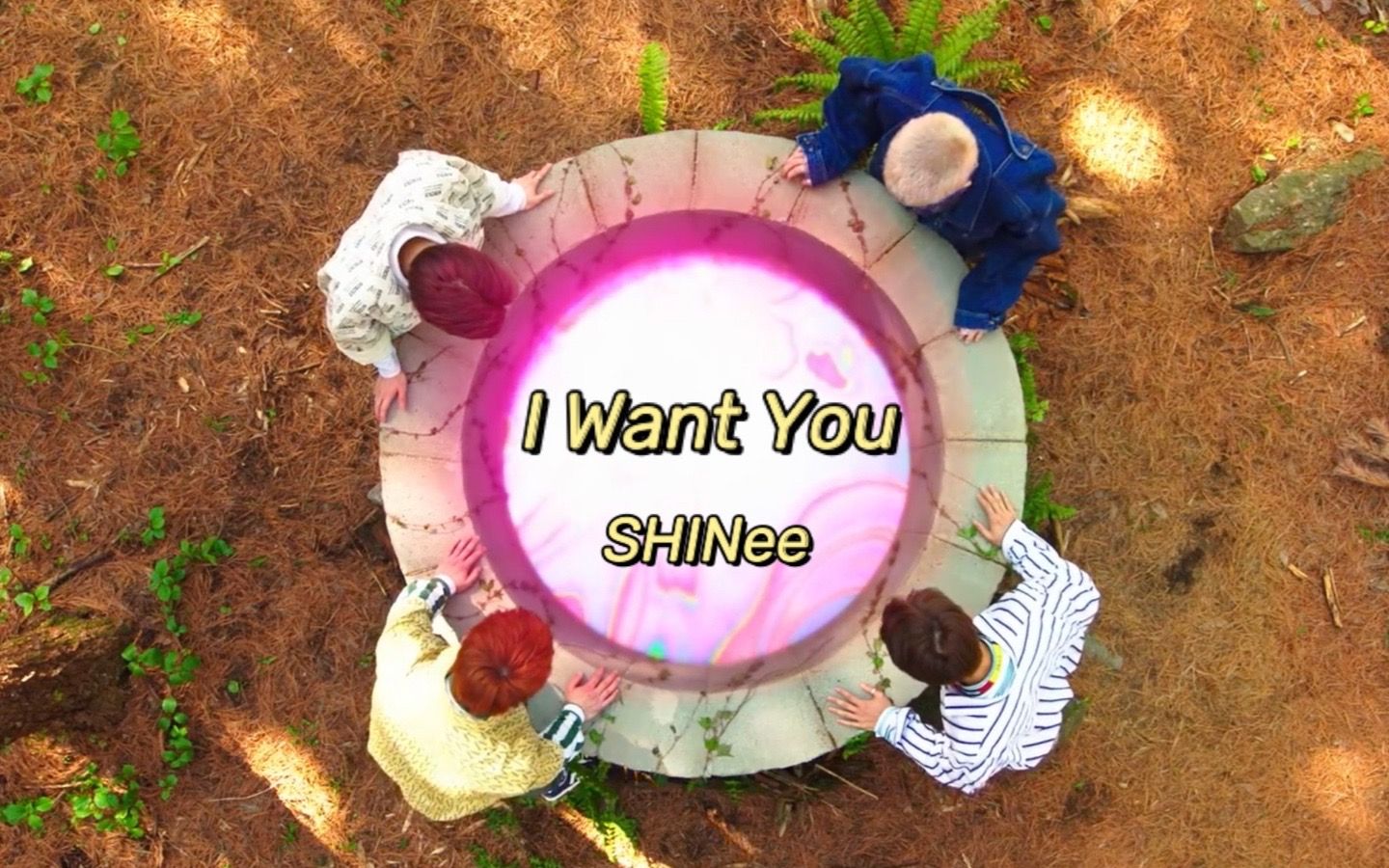 [图]【SHINee】 I Want You MV 中韩字幕 @神迹出品