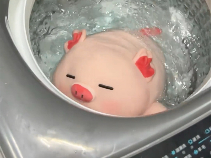 当我妈把我的猪洗了 真的会谢