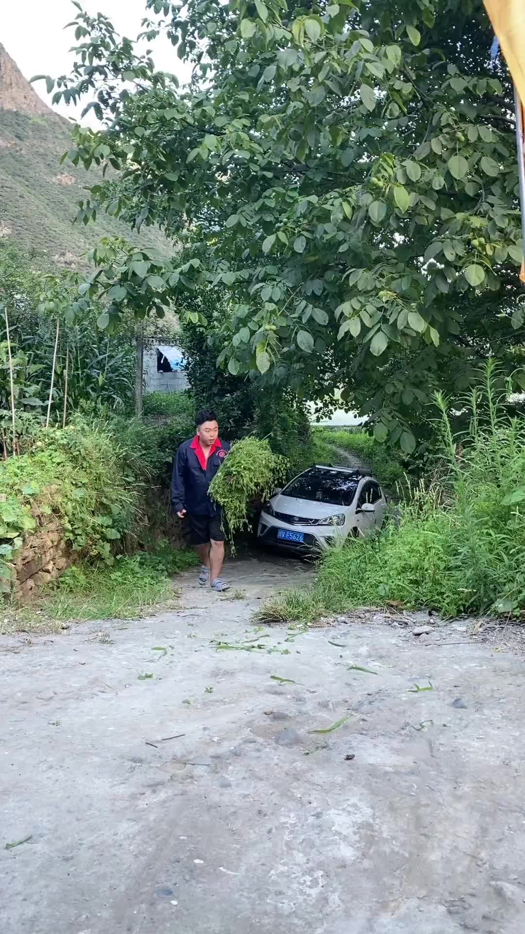 [图]山卡卡的农村人天然氧吧村里最靓的仔登格尔微腾花