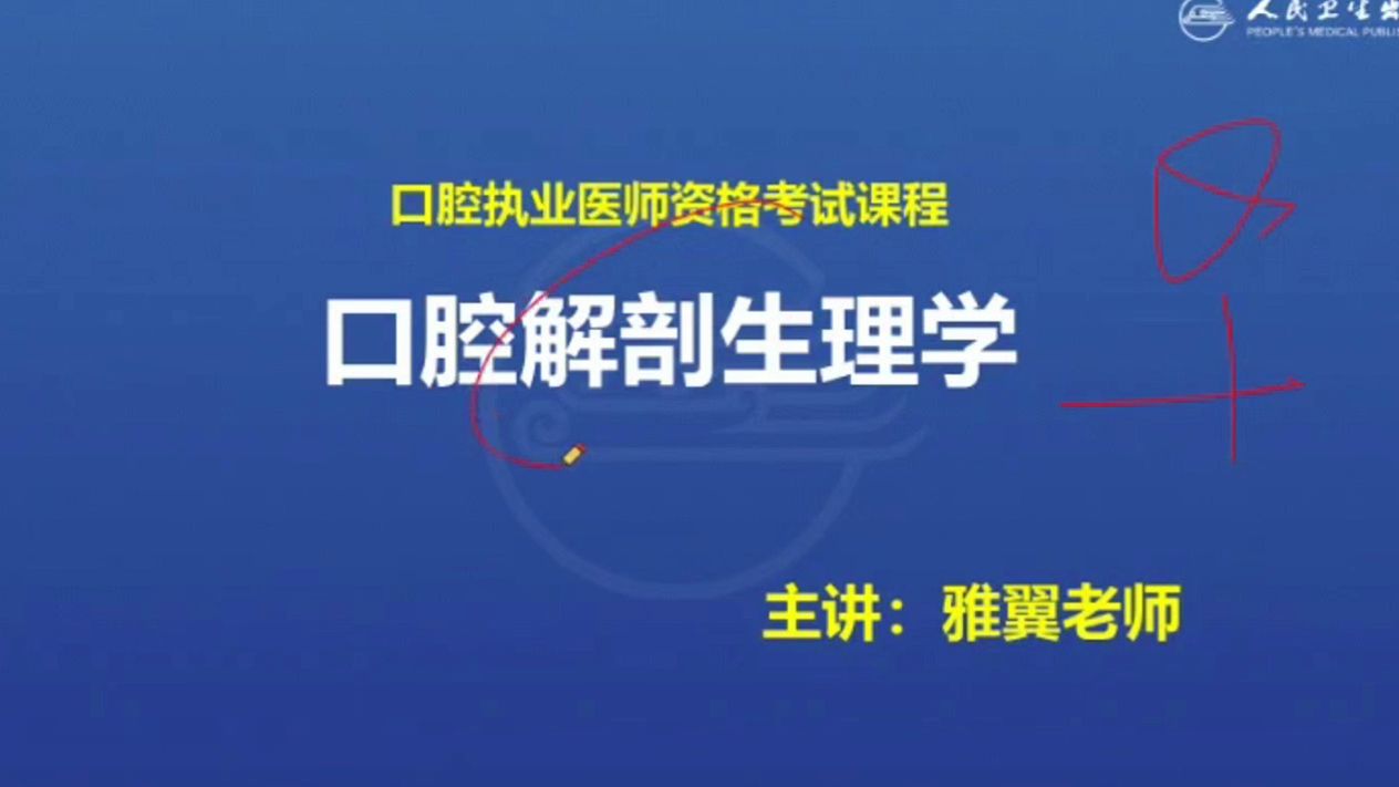 【必会考点轻松刷】口腔执业医师资格考试——恒牙外形及临床应用解剖哔哩哔哩bilibili