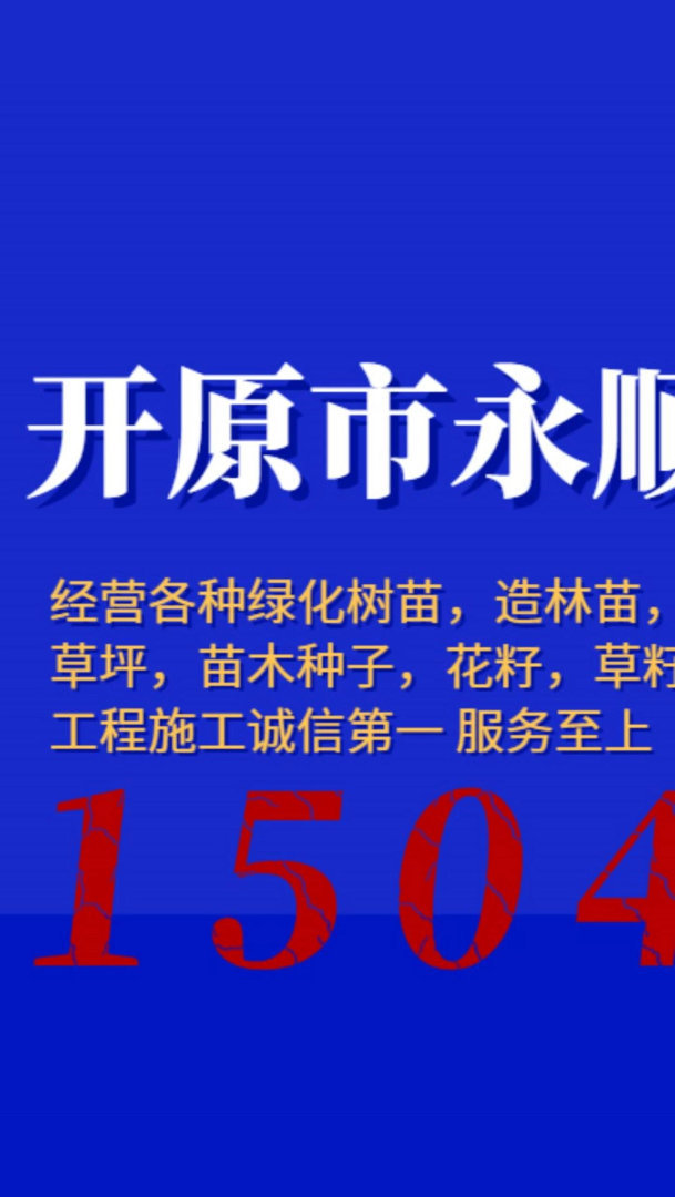 柞树苗 蒙古栎苗 东北养蚕用树苗 可以绿化 造林!!!哔哩哔哩bilibili