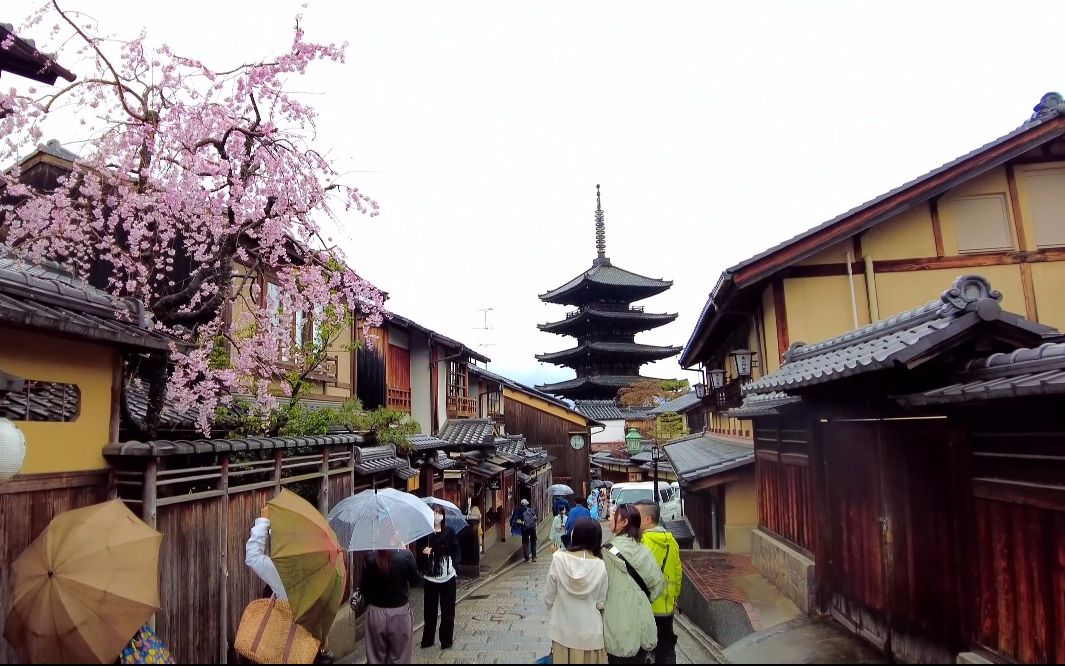 【4K超高清日本】漫步春季雨中的京都 从产宁坂走到八坂神社 满开的樱花 (1080P高清版) 2023.3哔哩哔哩bilibili