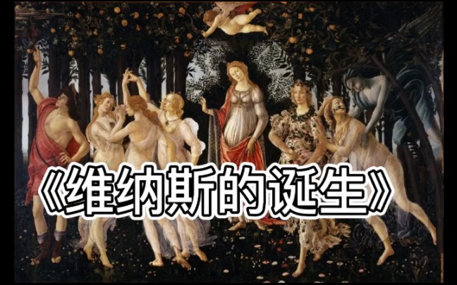 维纳斯的诞生哔哩哔哩bilibili