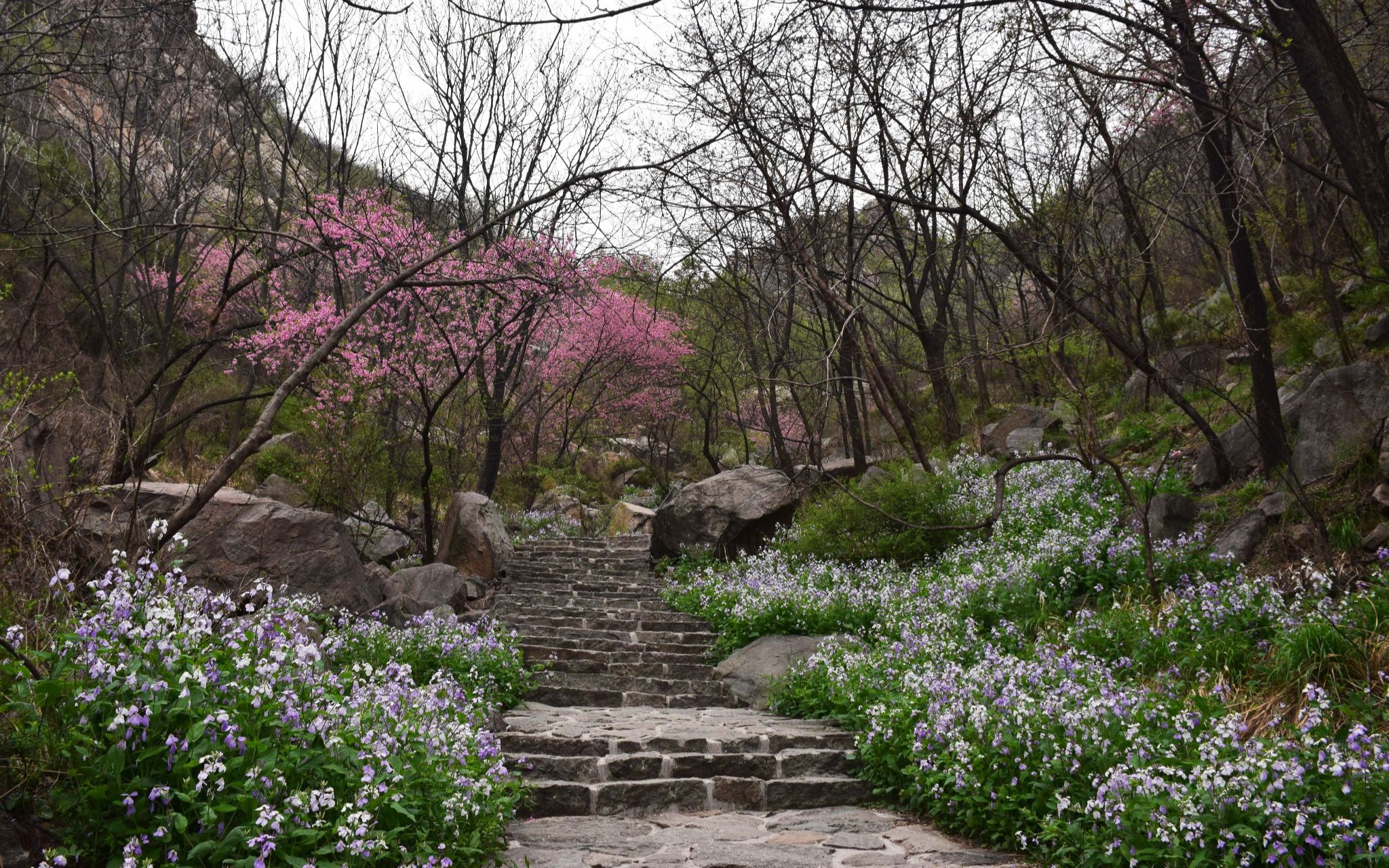 石家庄周边必去打卡景点--封龙山