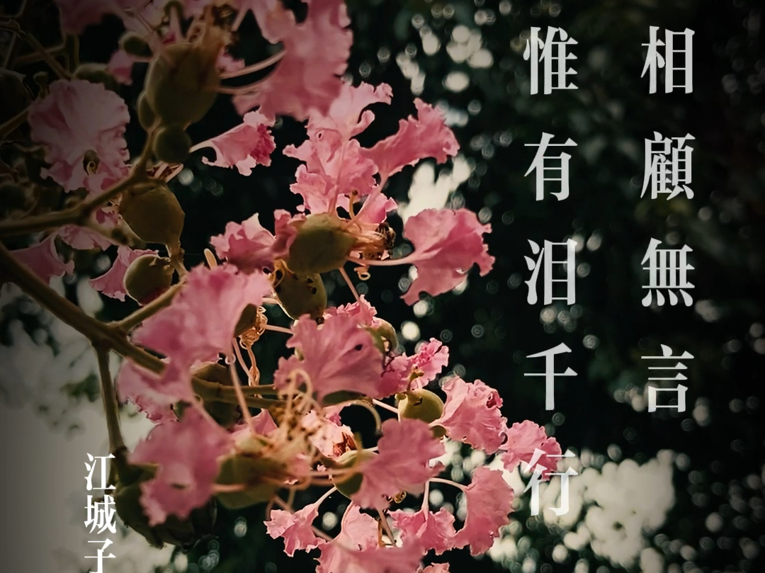 句句含情,字字泣泪.