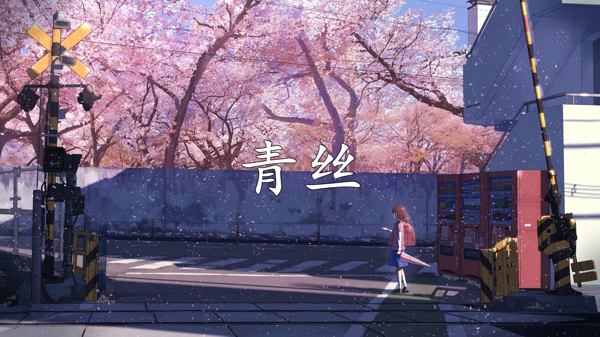 【超音质】时光胶囊