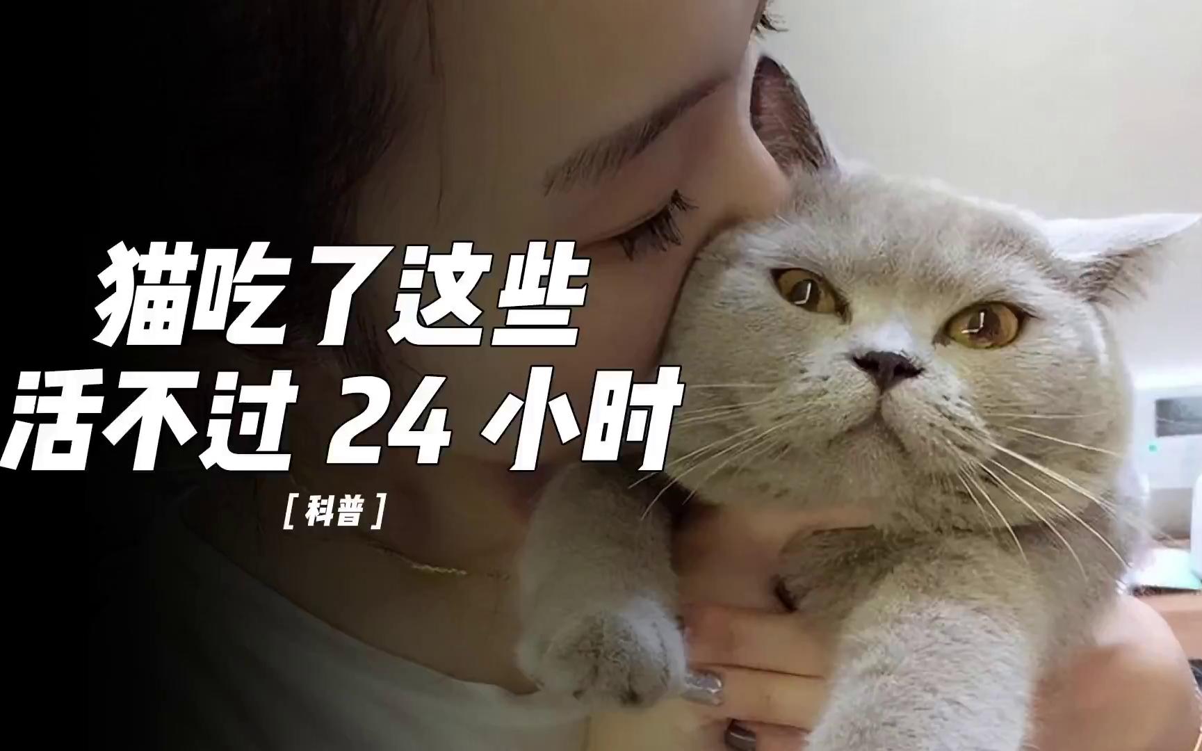 [图]猫咪不能吃的7种食物，吃了后果不堪设想