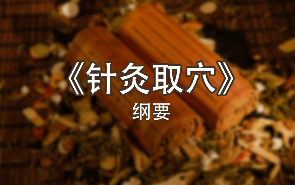 《针灸取穴》哔哩哔哩bilibili