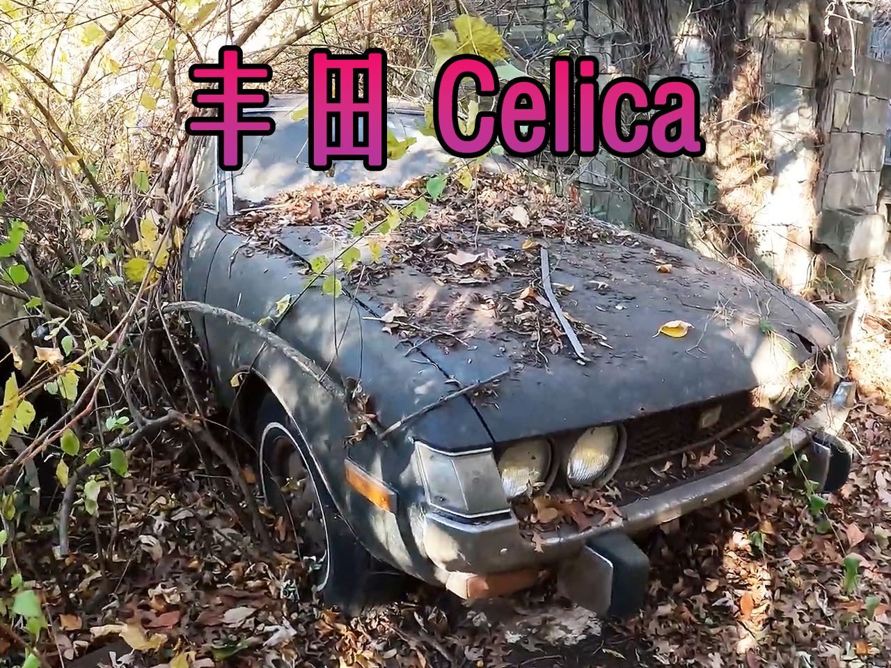 1974 年的丰田Celica,荒废20多年后能否成功启动哔哩哔哩bilibili