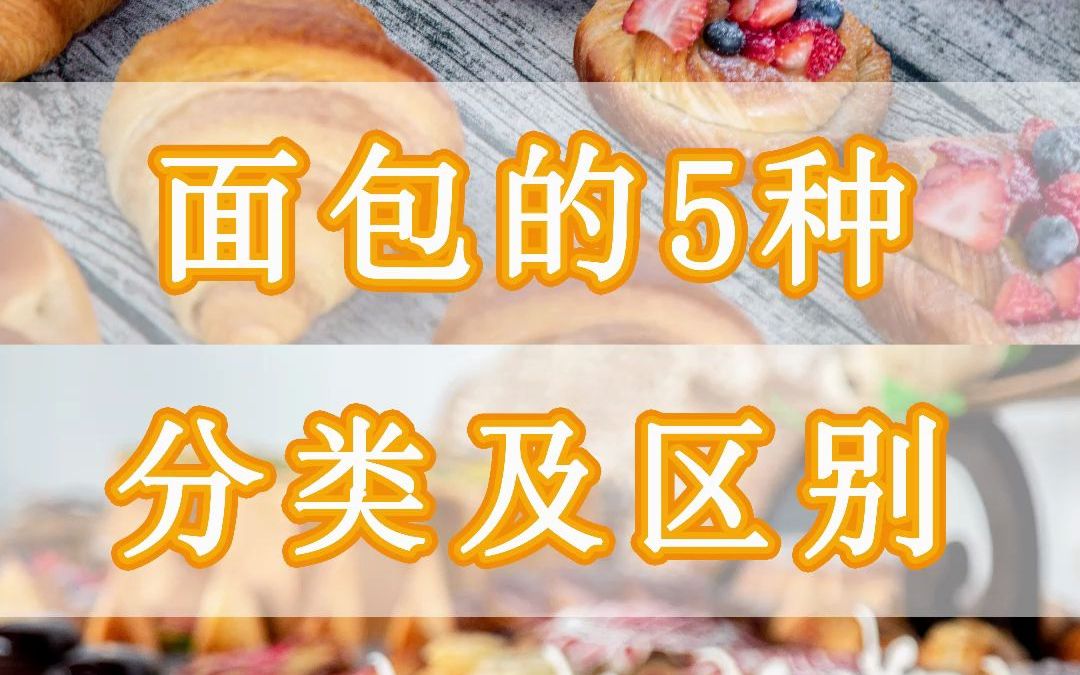 5种面包的分类及区别哔哩哔哩bilibili