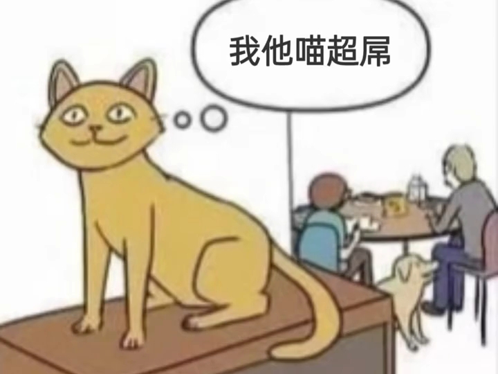 猫咪内心:我他喵的超吊!