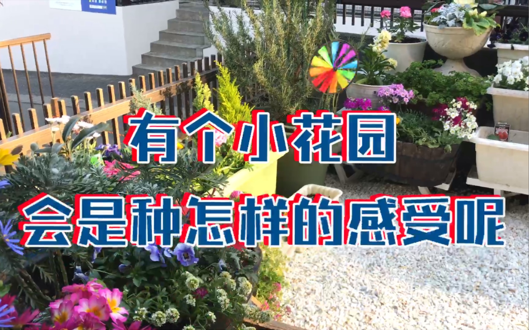 [图]花园故事02｜有个小花园，会是种怎样的感受呢？