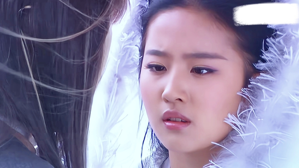 【刘亦菲】【黄晓明】【赵鸿飞】【陈紫函】