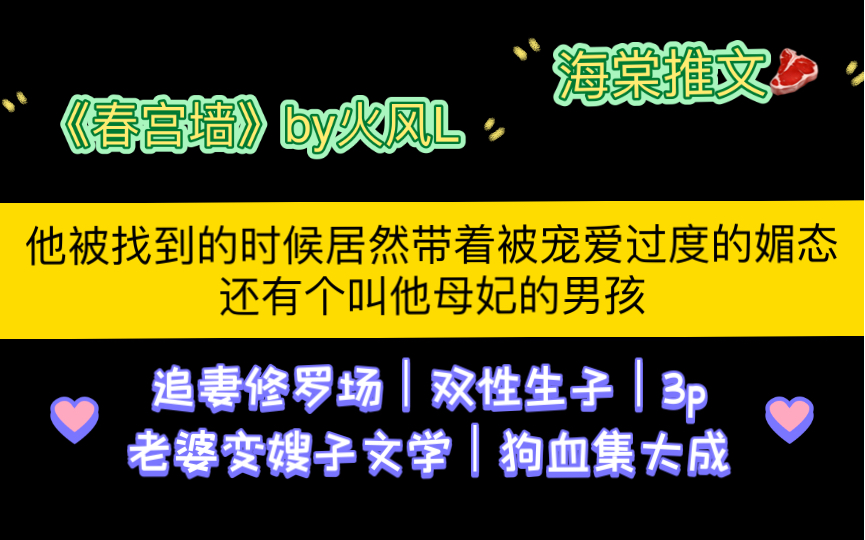 【海棠推文】全程追妻火葬场!被两个皇子强制爱!《春宫墙》by火风L(全文无删减)哔哩哔哩bilibili