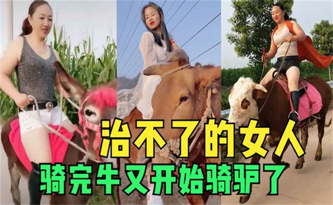 [图]盘点那些已经治不了的女人，开车进屋就算了，骑完牛又开始骑驴了