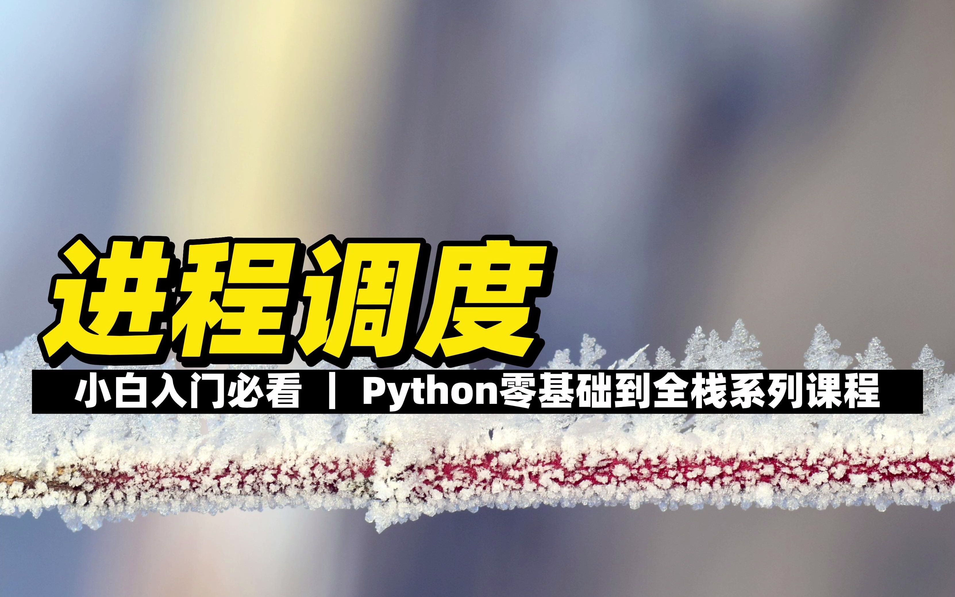 进程调度  《Python零基础到全栈系列》哔哩哔哩bilibili