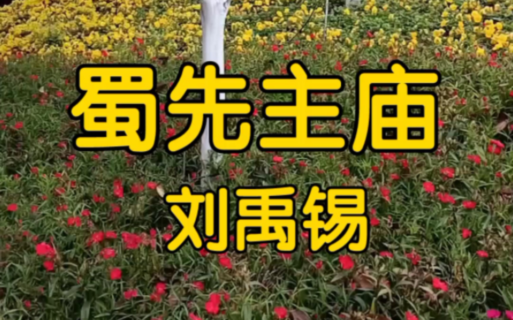 [图]＃每天一首古诗词 《蜀先主庙》刘禹锡 自拍风景配自己背诵古诗词