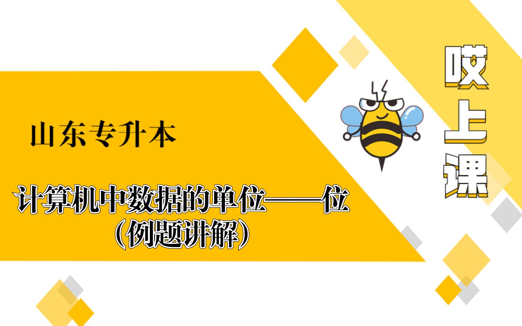 23山东专升本【计算机】计算机中数据的单位——位(例题讲解)哔哩哔哩bilibili