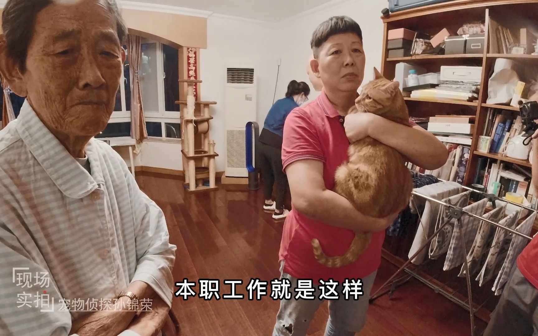 上海普陀找猫:失主激动落泪,没有蛋蛋200%是我的猫咪没错!哔哩哔哩bilibili